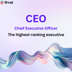 full form of ceo