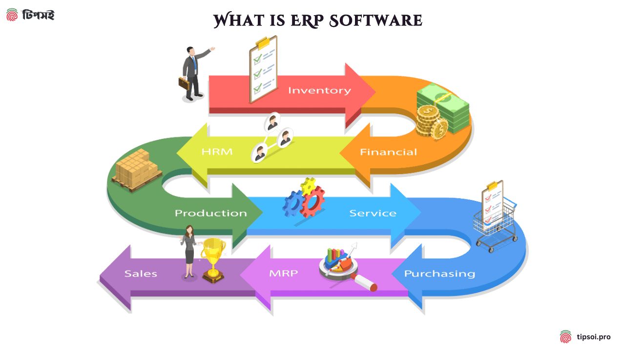 how does ERP software work