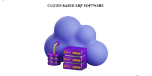 Cloud Based ERP Software