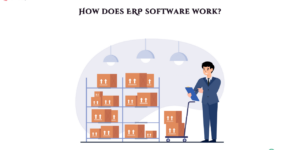 How does ERP software work