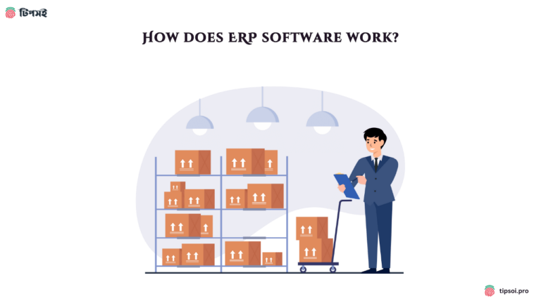 How does ERP software work