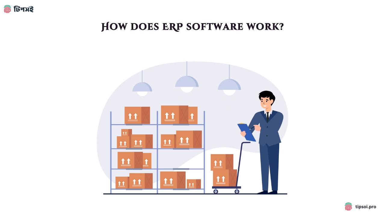 How does ERP software work